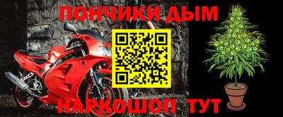 трава Кингисепп